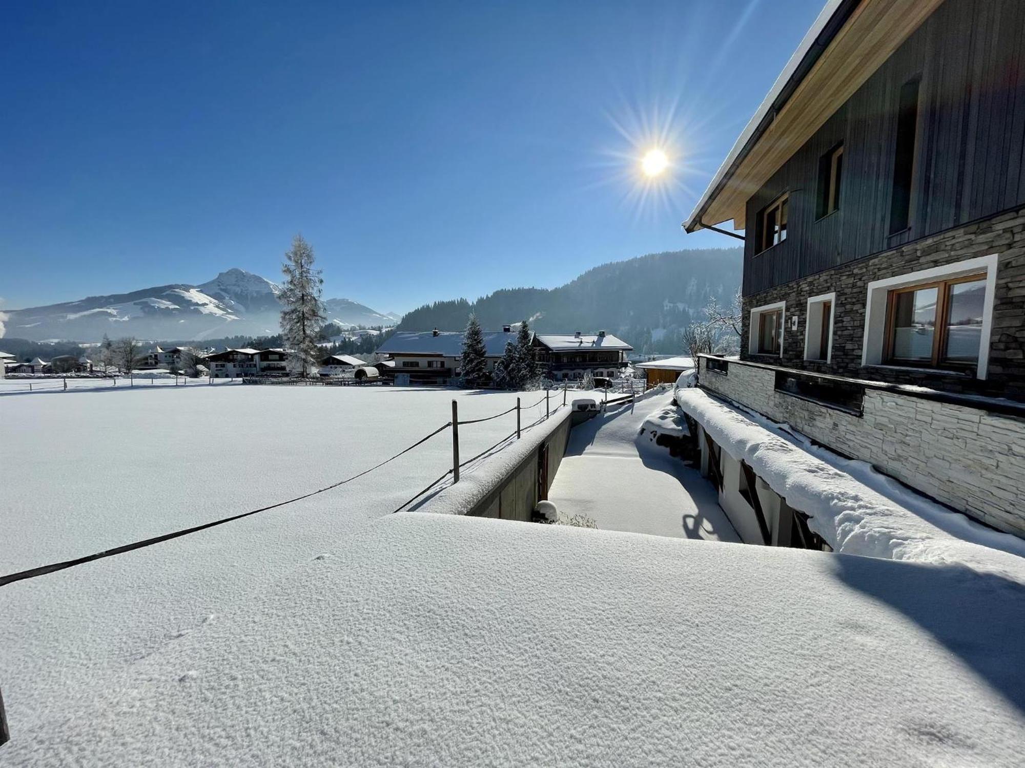 Mona Apartment Going am Wilden Kaiser Экстерьер фото